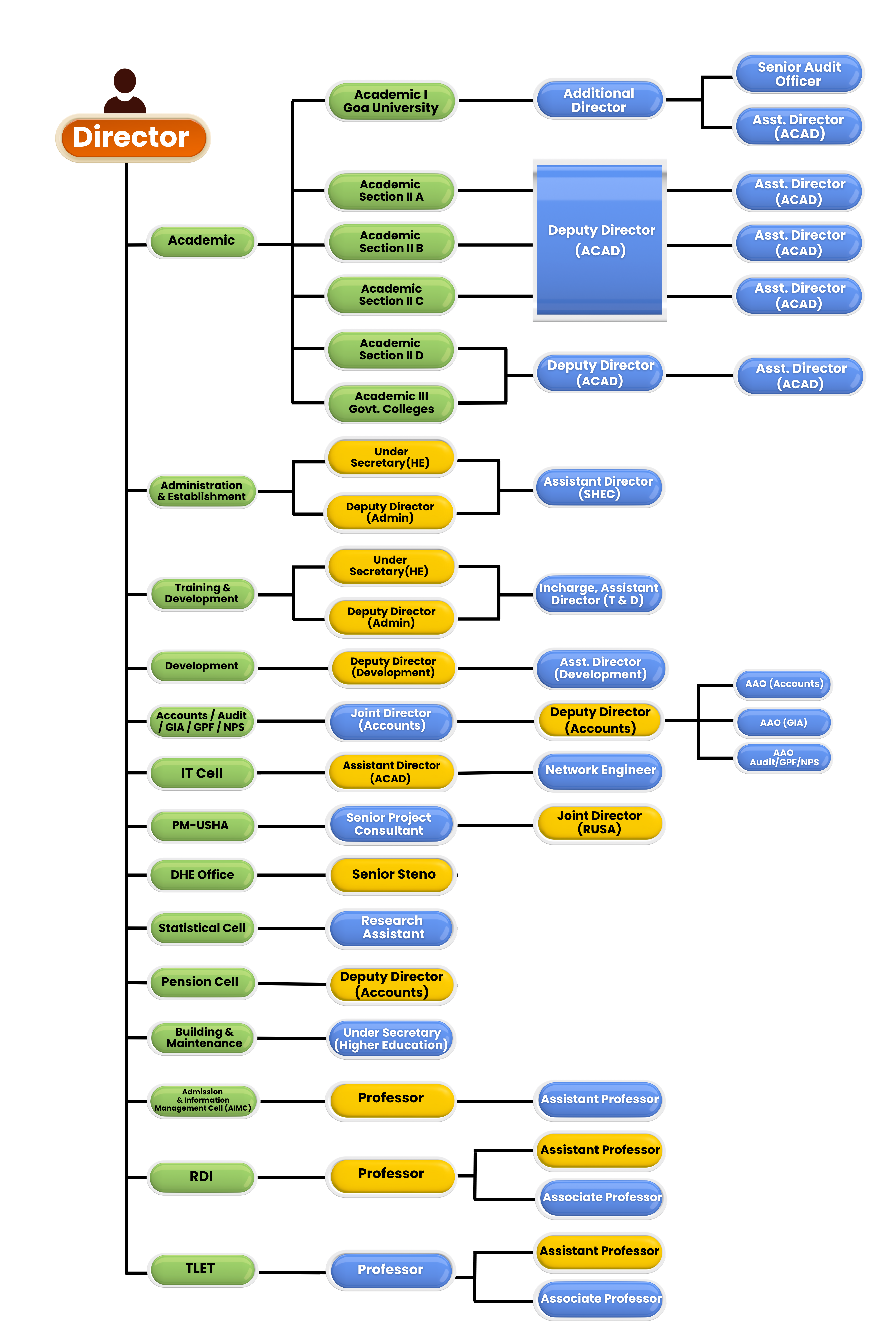 organisation chart